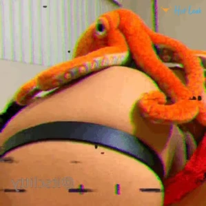 8198209