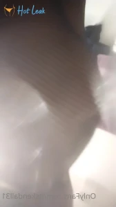 8197673