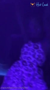 8196687