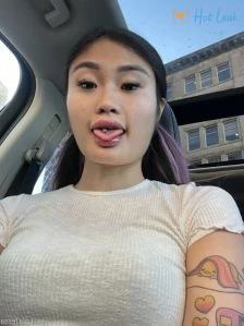 3956071