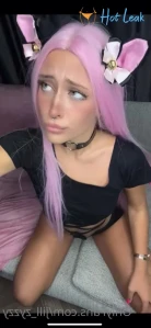8169064