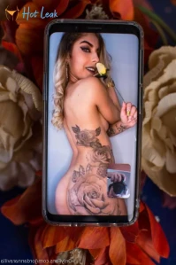 11202261
