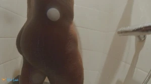 8163754