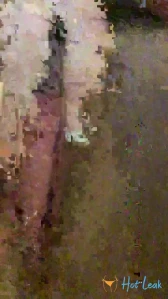 8156146