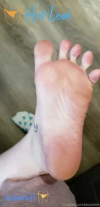 11592652