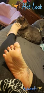 11849251