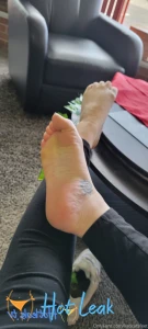 11849412
