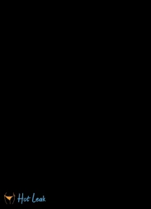 8151653