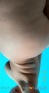 8151279