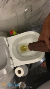 8138394