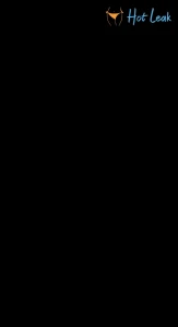 8130088
