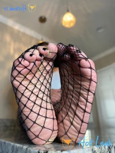 11593500