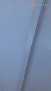8126747