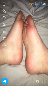 11365550