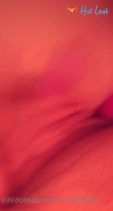 8113172