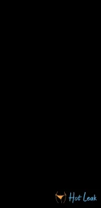 8097365