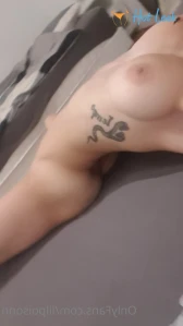 8097491