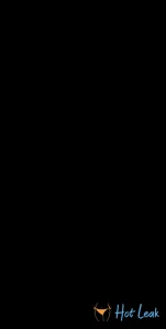 8087305