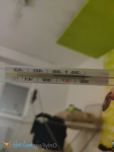 9138556
