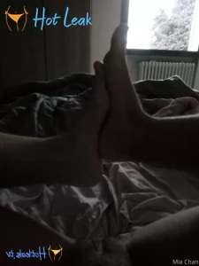 11792306