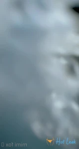 8052675