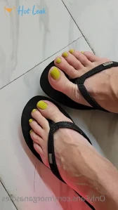 8026518