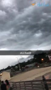 8013317