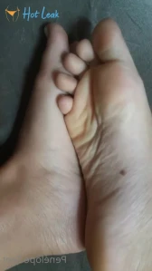 7995884