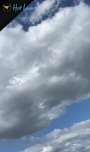 7995772