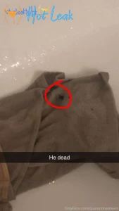 11582125