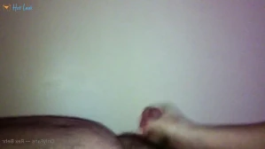 7985271