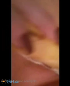 7984151