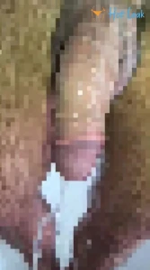 7982386