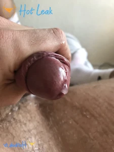 11730148