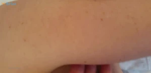 7980754