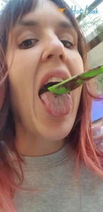 7980775