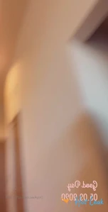 7971441