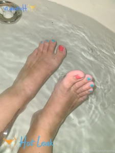 11766356