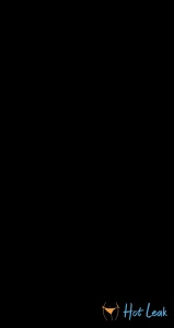 7966097