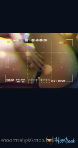 7964704