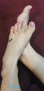 7963555