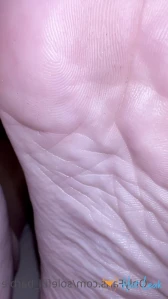 7963129