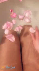 7956777