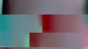 7956460