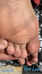 11813495