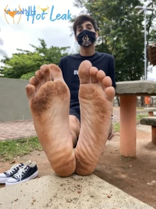 11863631