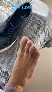 11867094