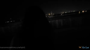 10833707