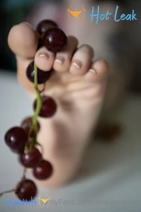 11699019