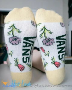 11904941